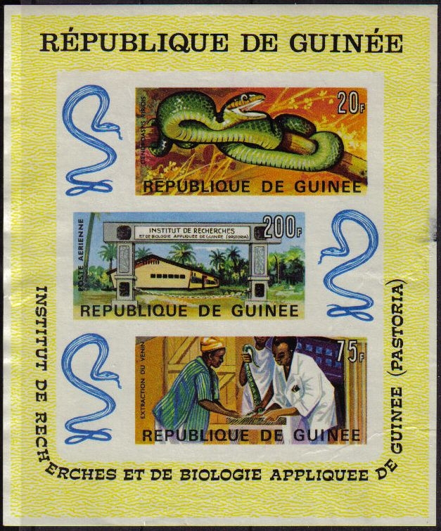 z vendido Republica de Guinea 1967 Scott C88a Sello * Reptiles Serpientes Snake Research sin dentar ni goma pequeña rotura en parte derecha 